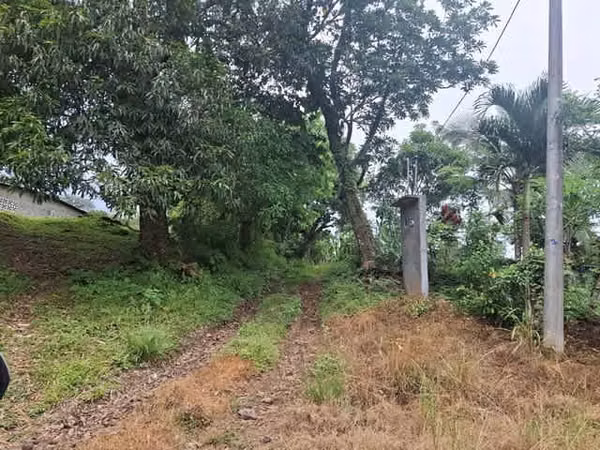 Se Vende Terreno en la provincia de Herrera, distrito de Ocu, Menchaca