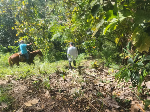 Se Vende Terreno en la provincia de Herrera, distrito de Ocu, Menchaca