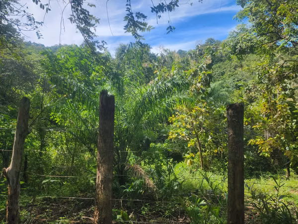 Se Vende Terreno en la provincia de Herrera, distrito de Ocu, Menchaca