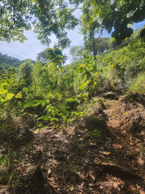 Se Vende Terreno en la provincia de Herrera, distrito de Ocu, Menchaca