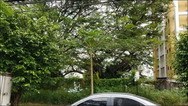 AVALUO EN $412,000 GANGA - Terreno en La Loma para Edificio - GANGA