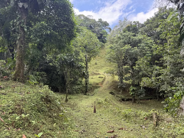For Sale 87.1 Hectares