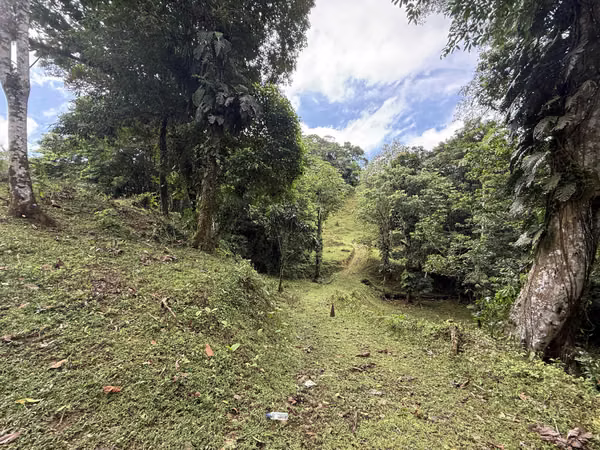 For Sale 87.1 Hectares