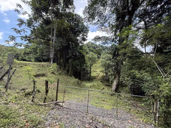 For Sale 87.1 Hectares