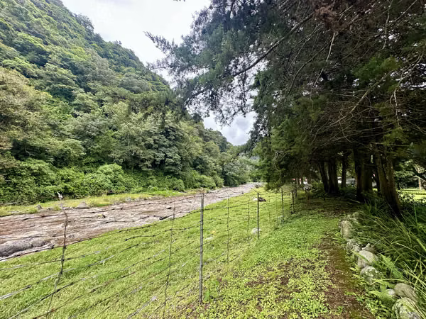 FOR SALE LARGE PROPERTY ON 5 HECTARES NEXT TO THE RIVER IN HIGHLANDS