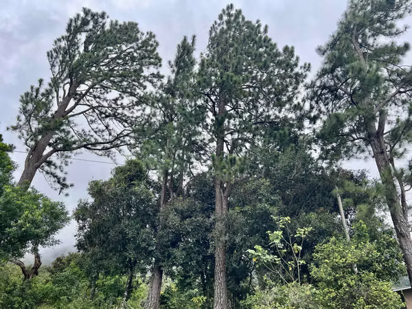 Terreno en Chiriqui, Boquete, 3,875,89 mts2 en Jaramillo Abajo