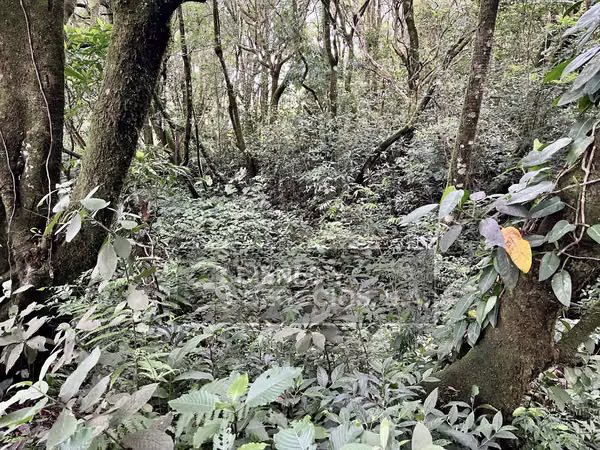 Terreno en Chiriqui, Boquete, 3,875,89 mts2 en Jaramillo Abajo