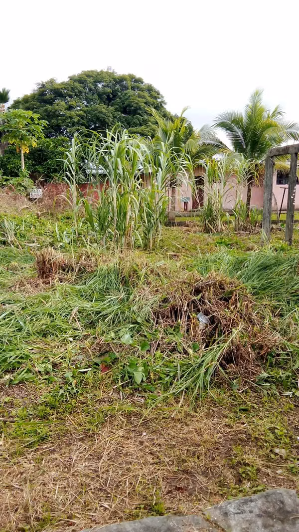 Se Vende Terreno de 600 m2 en Ciudad Radial