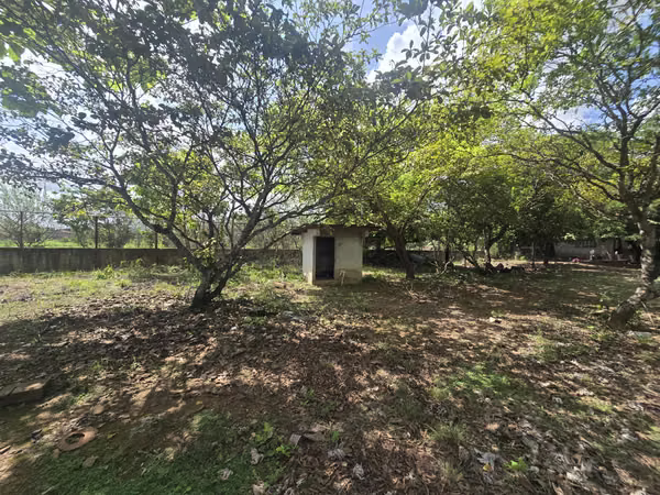 VENTA O ALQUILER BODEGA FRENTE A PANAMERICANA EN AGUADULCE