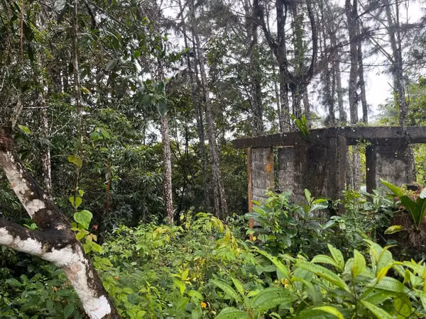 Se vende Terreno - Lote de 1590 mts en Altos de Cerro  Azul
