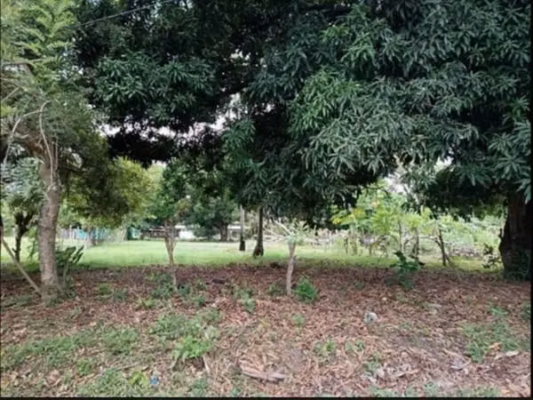 VENDO TERRENO RIO HATO, COCLÉ