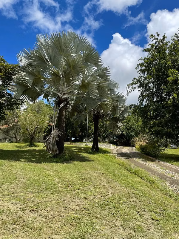 Excelente inversión , comodidad, lujo y tranquilidad  en Chitre