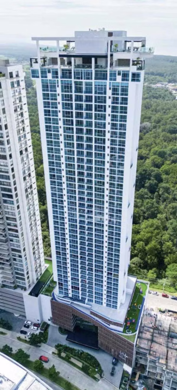 THE IVY - SANTA MARIA - A ESTRENAR
