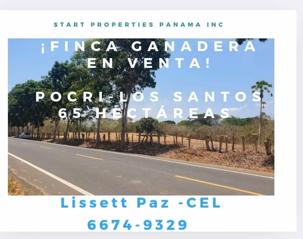 Finca 65 Hectáreas Pocri Los Santos $572,000