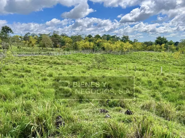 Terreno en Chiriqui, Bugaba, 4.9 Hectareas en Bongo con casa