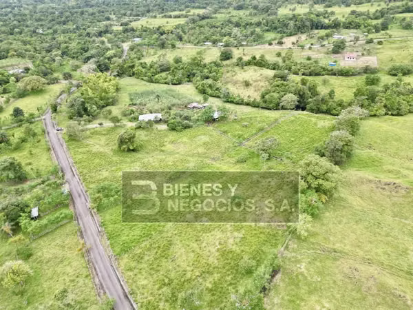 Terreno en Chiriqui, Bugaba, 4.9 Hectareas en Bongo con casa