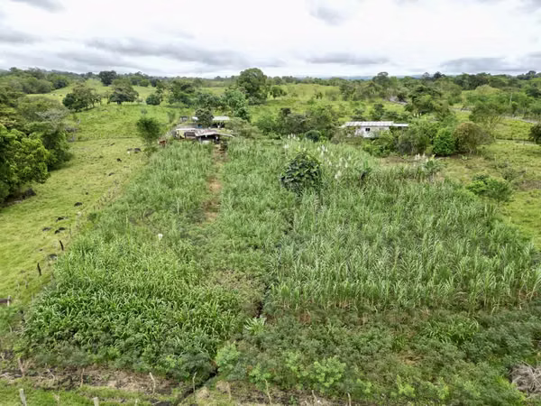 Terreno en Chiriqui, Bugaba, 4.9 Hectareas en Bongo con casa