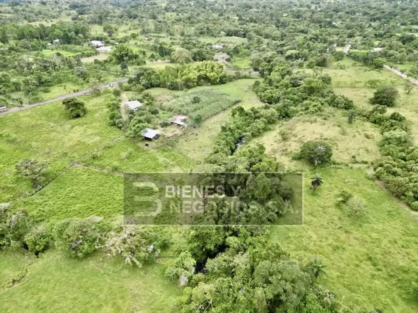 Terreno en Chiriqui, Bugaba, 4.9 Hectareas en Bongo con casa
