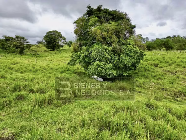 Terreno en Chiriqui, Bugaba, 4.9 Hectareas en Bongo con casa