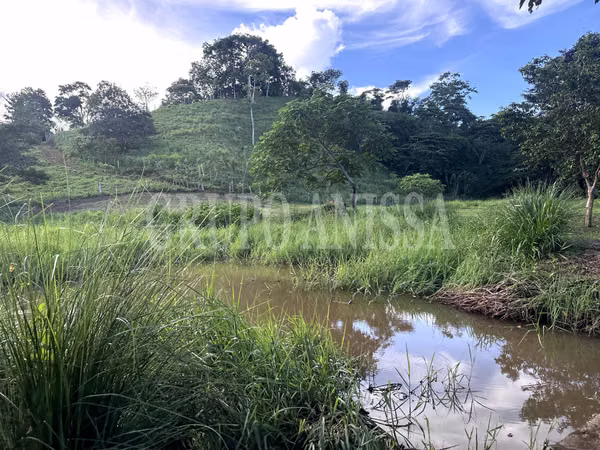 GANGA! Selling Extensive Finca in Capira - 13.3 Hectats