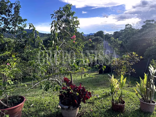 GANGA! Selling Extensive Finca in Capira - 13.3 Hectats