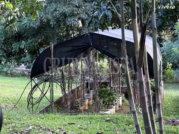 GANGA! Selling Extensive Finca in Capira - 13.3 Hectats