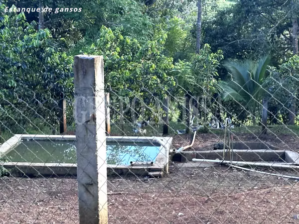 GANGA! Selling Extensive Finca in Capira - 13.3 Hectats