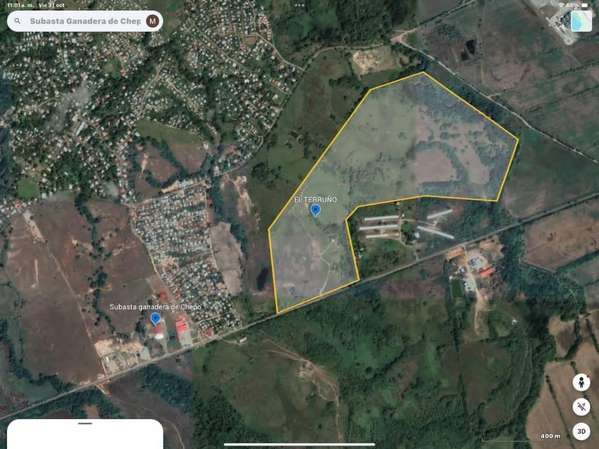 OPORTUNIDAD DE INVERSIÓN EN CHEPO – 50 HECTÁREAS SOBRE LA INTERAMERICANA