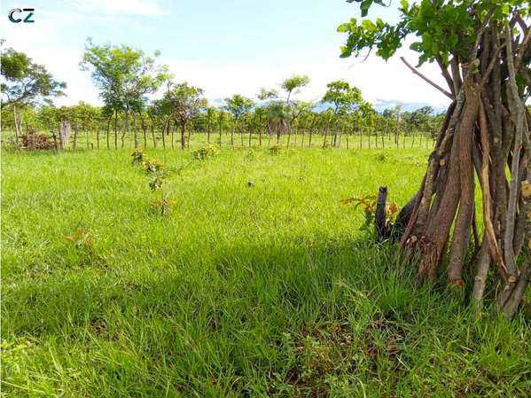 Venta de finca en Dolega Chiriqui