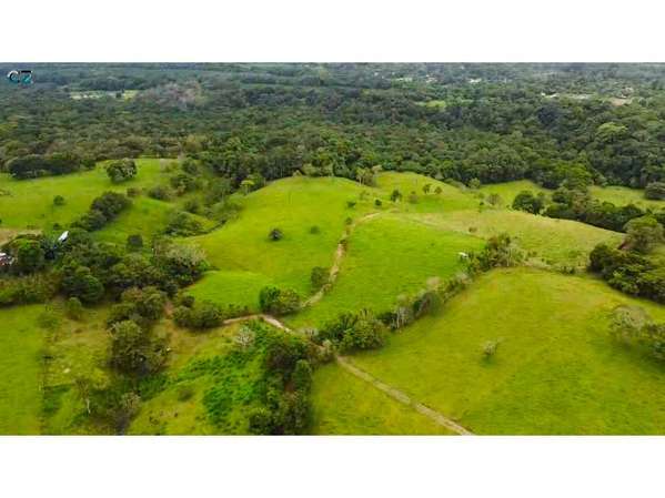 Finca de 4 hectáreas Potrerillo Abajo Chiriquí