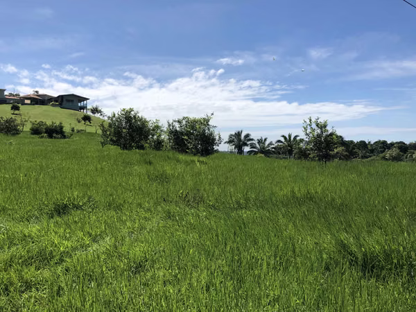 FOR SALE LAND IN LA CHORRERA