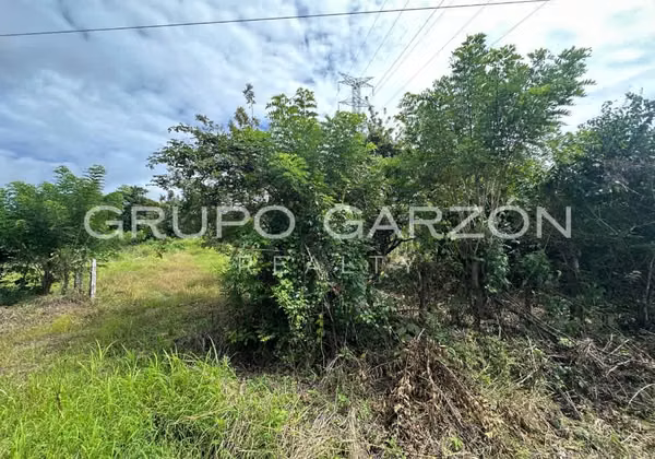 Land for sale in La Pintada (premium price)