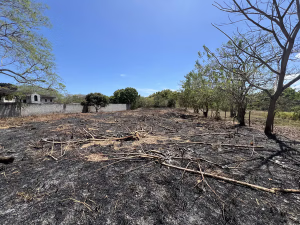 Farms for sale in Santa Clara