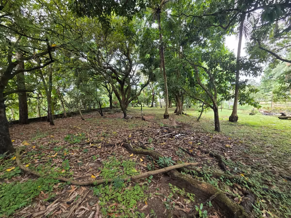 CHEPO TERRENO EN VENTA