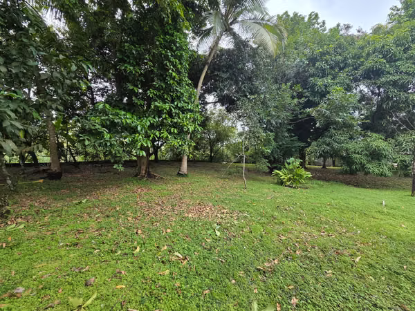 CHEPO TERRENO EN VENTA