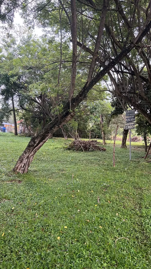 Vendo Terreno en Gorgona