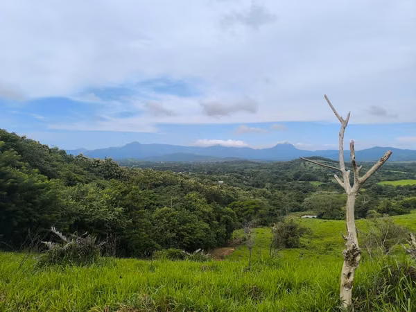 Venta de terreno en Capira, Cermeño