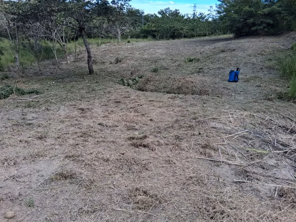 Plot for sale - San Carlos, Panama, contact me now!