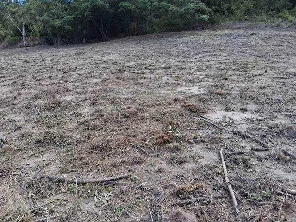 Plot for sale - San Carlos, Panama, contact me now!