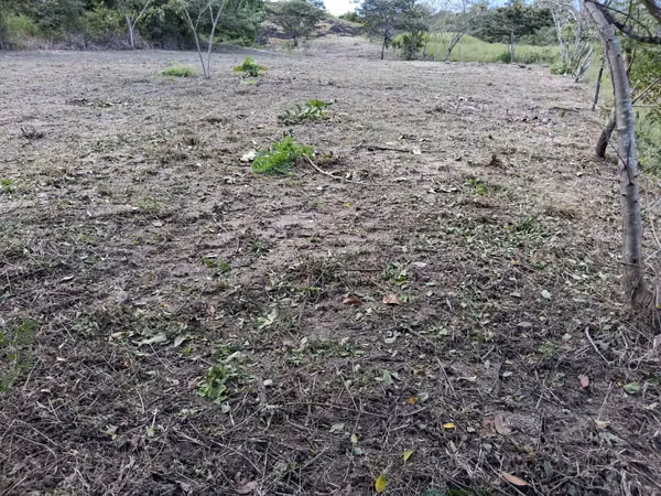 Plot for sale - San Carlos, Panama, contact me now!