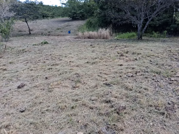 Plot for sale - San Carlos, Panama, contact me now!