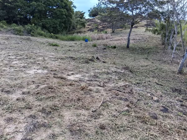 Plot for sale - San Carlos, Panama, contact me now!