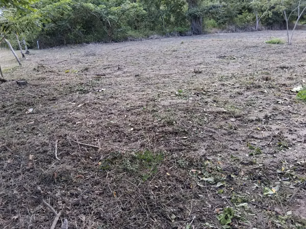 Plot for sale - San Carlos, Panama, contact me now!