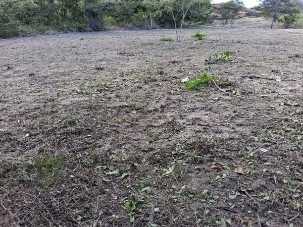 Plot for sale - San Carlos, Panama, contact me now!