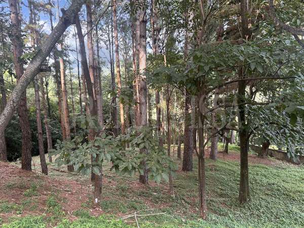 OPORTUNIDAD! Se vende Hermoso Terreno en Altos del Maria