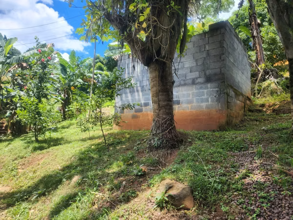 VENDO PROPIEDAD EN LAS ACACIAS DE ARRAIJAN