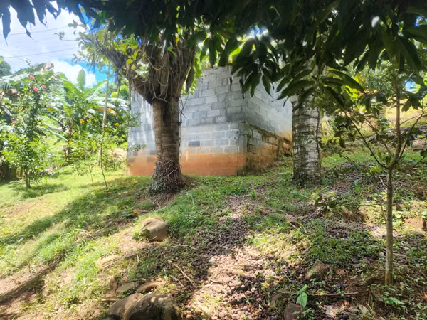 VENDO PROPIEDAD EN LAS ACACIAS DE ARRAIJAN
