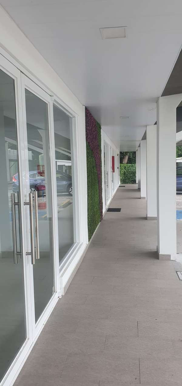 Local for rent in David