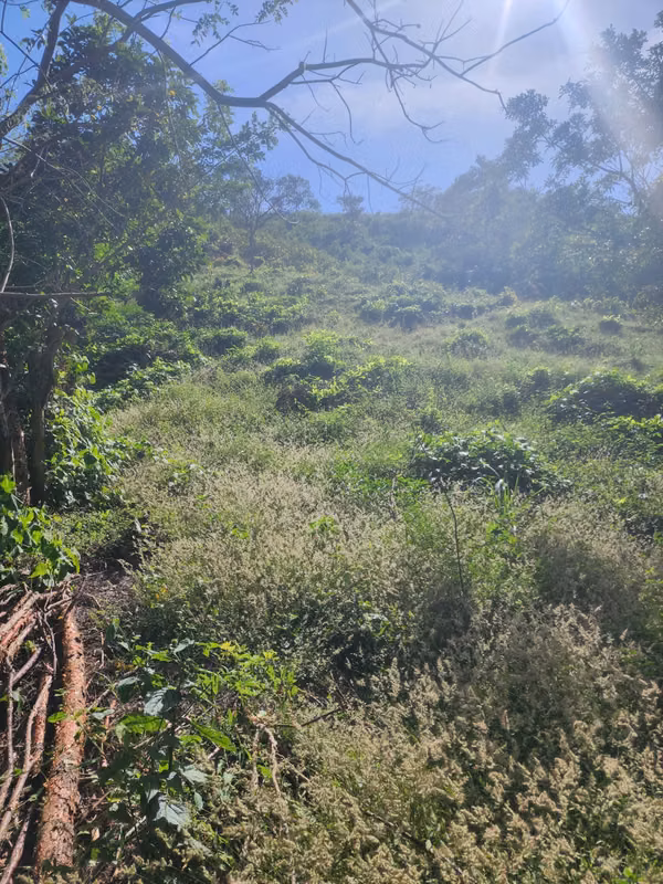 VENDO FINCA EN LOS RINCONES, CORREGIMIENTO DEL CRISTO EN AGUADULCE