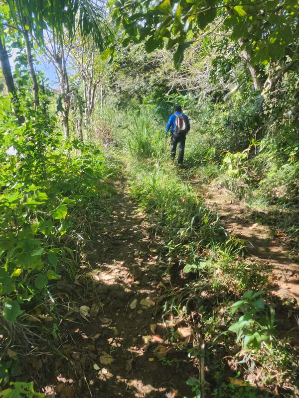 VENDO FINCA EN LOS RINCONES, CORREGIMIENTO DEL CRISTO EN AGUADULCE